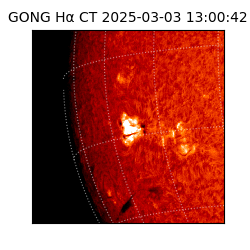 gong - 2025-03-03T13:00:42