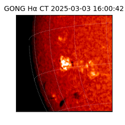 gong - 2025-03-03T16:00:42