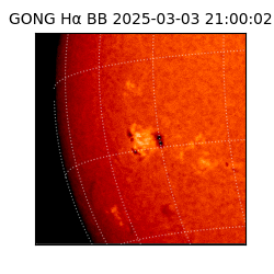 gong - 2025-03-03T21:00:02