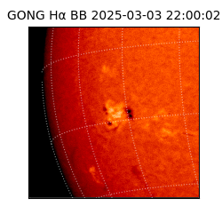 gong - 2025-03-03T22:00:02