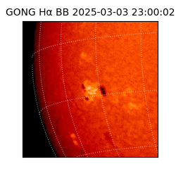 gong - 2025-03-03T23:00:02