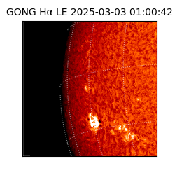 gong - 2025-03-03T01:00:42