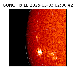 gong - 2025-03-03T02:00:42
