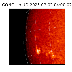 gong - 2025-03-03T04:00:02