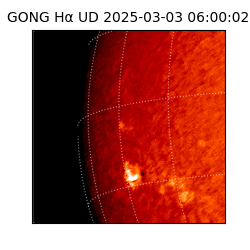 gong - 2025-03-03T06:00:02