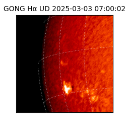 gong - 2025-03-03T07:00:02
