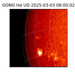 gong - 2025-03-03T08:00:02