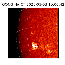 gong - 2025-03-03T15:00:42