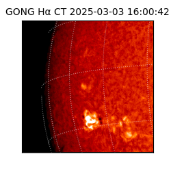 gong - 2025-03-03T16:00:42