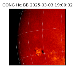 gong - 2025-03-03T19:00:02