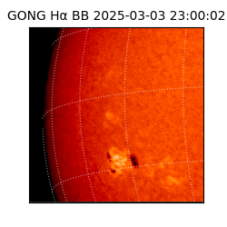 gong - 2025-03-03T23:00:02