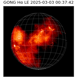 gong - 2025-03-03T00:37:42
