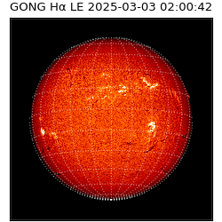 gong - 2025-03-03T02:00:42