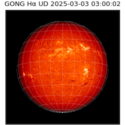 gong - 2025-03-03T03:00:02