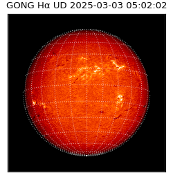 gong - 2025-03-03T05:02:02