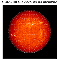 gong - 2025-03-03T06:00:02