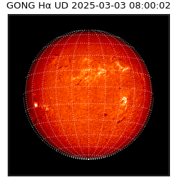 gong - 2025-03-03T08:00:02
