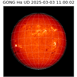 gong - 2025-03-03T11:00:02