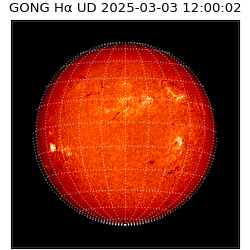 gong - 2025-03-03T12:00:02