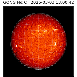 gong - 2025-03-03T13:00:42