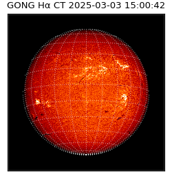 gong - 2025-03-03T15:00:42