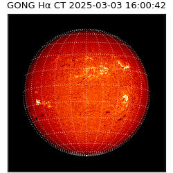 gong - 2025-03-03T16:00:42