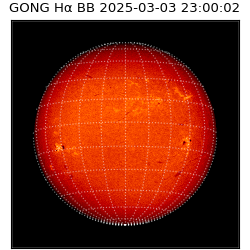 gong - 2025-03-03T23:00:02