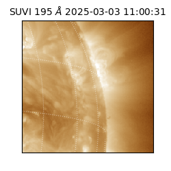 suvi - 2025-03-03T11:00:31.333000