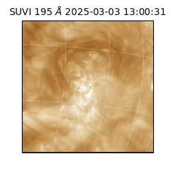 suvi - 2025-03-03T13:00:31.629000