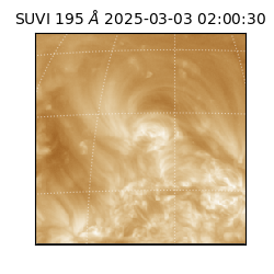 suvi - 2025-03-03T02:00:30.012000