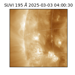 suvi - 2025-03-03T04:00:30.312000