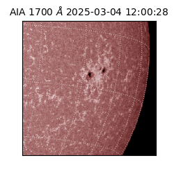 saia - 2025-03-04T12:00:28.717000