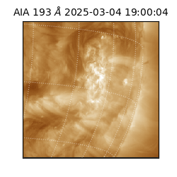 saia - 2025-03-04T19:00:04.843000