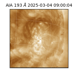 saia - 2025-03-04T09:00:04.843000