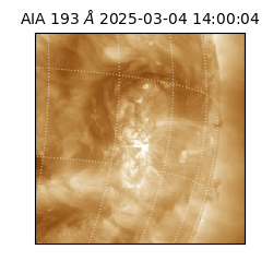 saia - 2025-03-04T14:00:04.843000