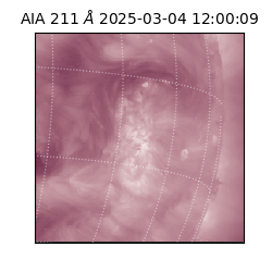 saia - 2025-03-04T12:00:09.633000