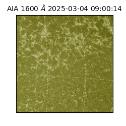 saia - 2025-03-04T09:00:14.131000