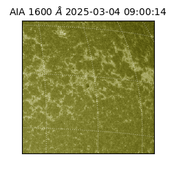 saia - 2025-03-04T09:00:14.131000