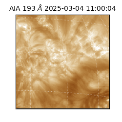 saia - 2025-03-04T11:00:04.843000