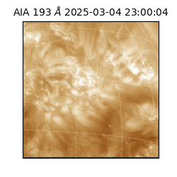 saia - 2025-03-04T23:00:04.843000