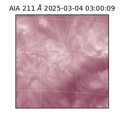 saia - 2025-03-04T03:00:09.632000