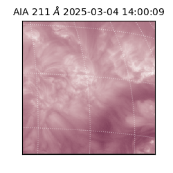 saia - 2025-03-04T14:00:09.632000