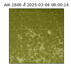 saia - 2025-03-04T08:00:14.132000