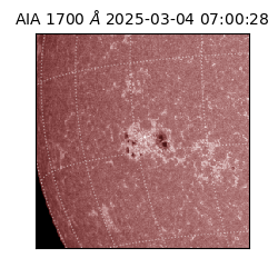 saia - 2025-03-04T07:00:28.717000