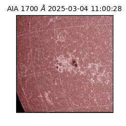 saia - 2025-03-04T11:00:28.718000