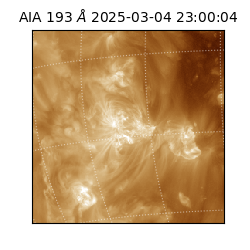 saia - 2025-03-04T23:00:04.843000