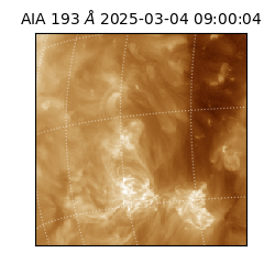 saia - 2025-03-04T09:00:04.843000