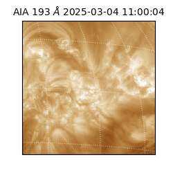saia - 2025-03-04T11:00:04.843000