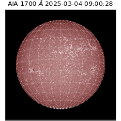 saia - 2025-03-04T09:00:28.717000