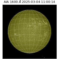 saia - 2025-03-04T11:00:14.133000